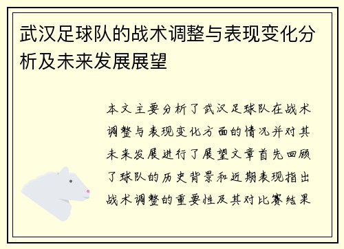 武汉足球队的战术调整与表现变化分析及未来发展展望